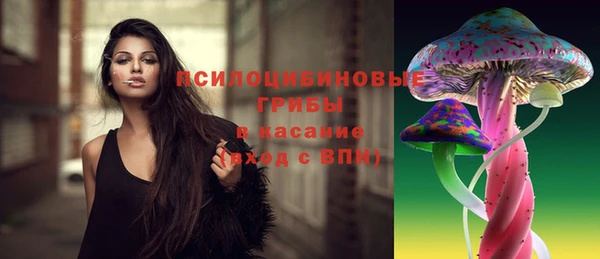 гидра Тутаев
