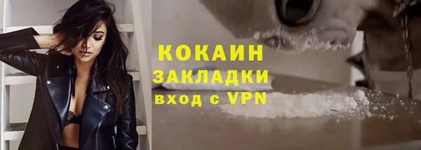 ГАЛЛЮЦИНОГЕННЫЕ ГРИБЫ Таштагол